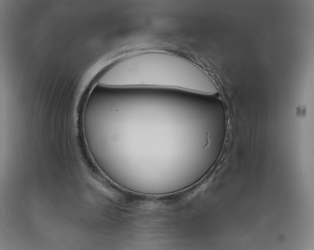 X0000093120246200709261020