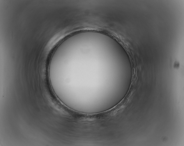 X0000093120247200709261020