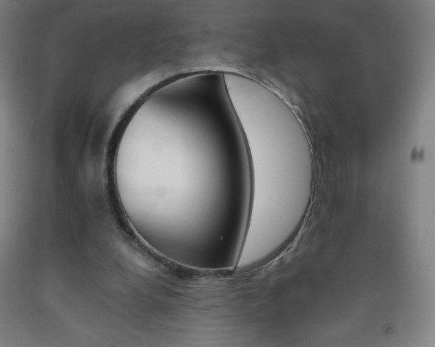 X0000093120248200709261020