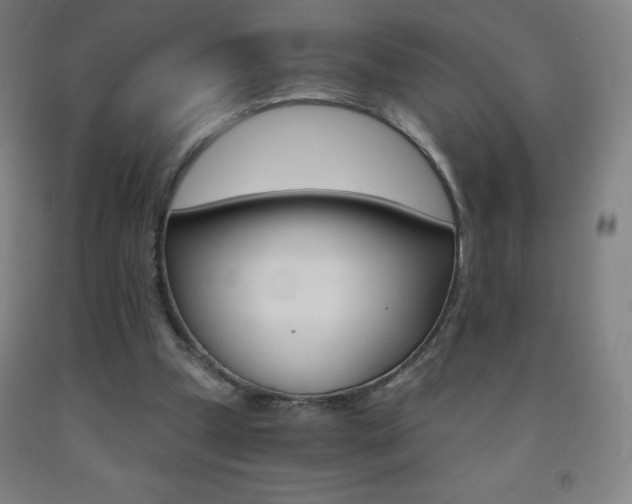 X0000093120249200709261020