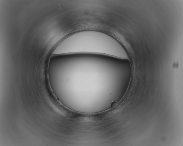 X0000093120250200709261020
