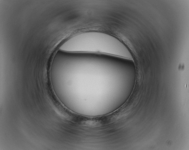 X0000093120251200709261020
