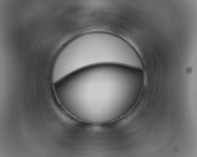 X0000093120253200709261020