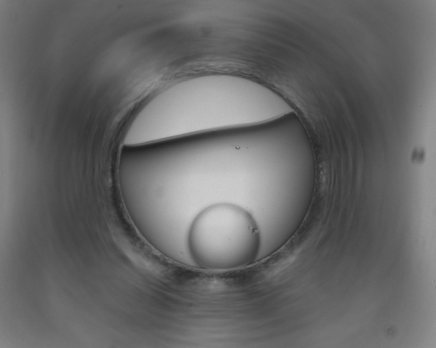 X0000093120254200709261020