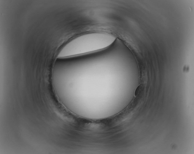 X0000093120255200709261020