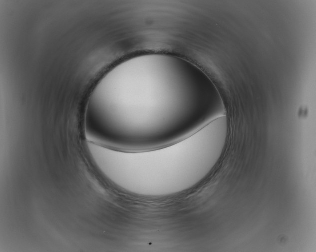 X0000093120256200709261020
