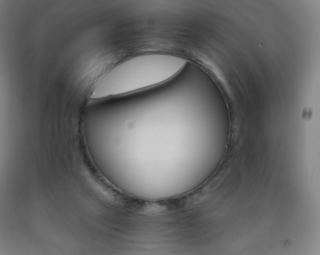 X0000093120257200709261020