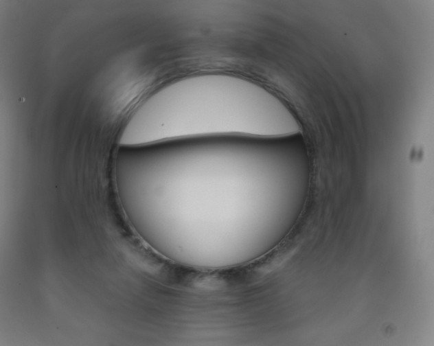 X0000093120258200709261020