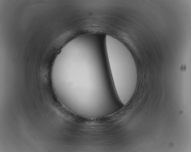 X0000093120259200709261020