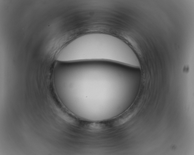 X0000093120261200709261021