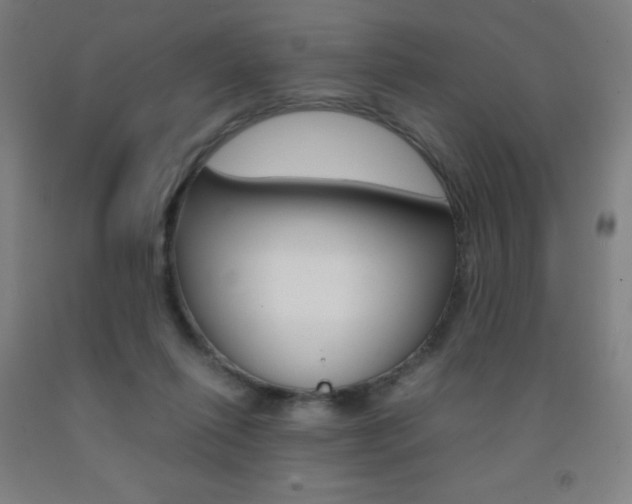 X0000093120262200709261021