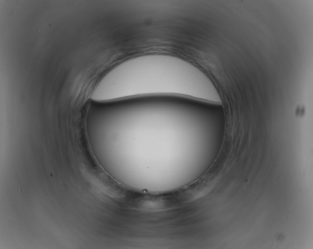 X0000093120263200709261021