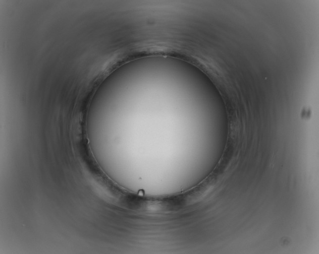 X0000093120264200709261021