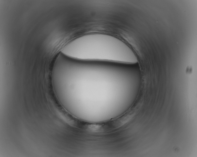 X0000093120265200709261021