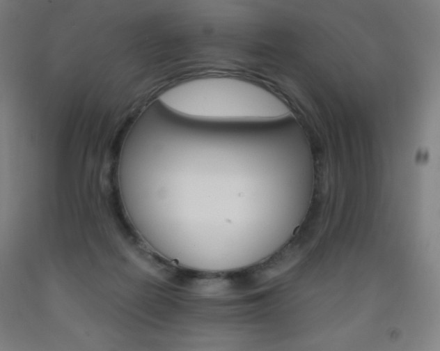 X0000093120266200709261021