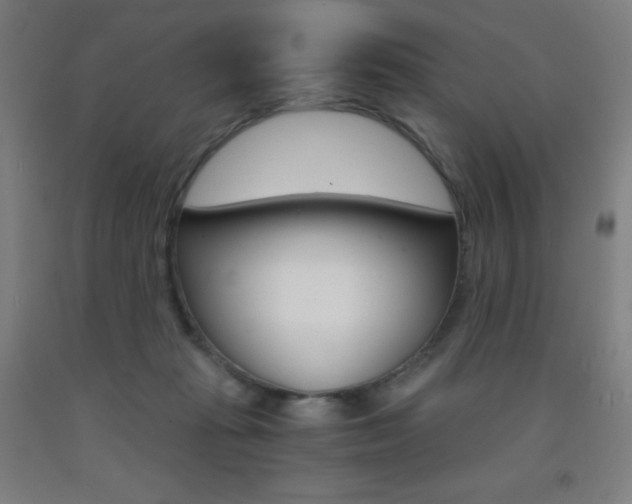 X0000093120269200709261021
