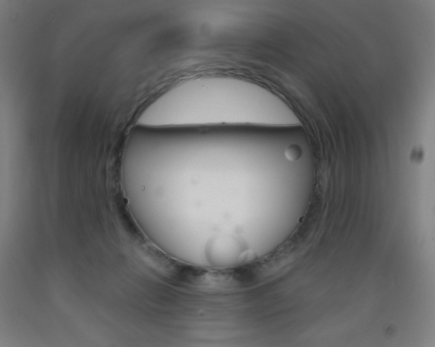 X0000093120270200709261021