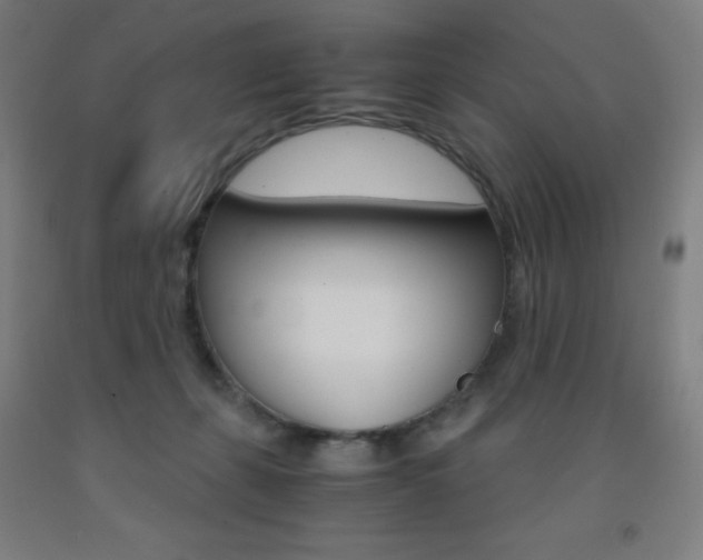 X0000093120271200709261021