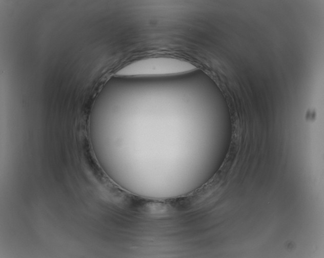 X0000093120272200709261021