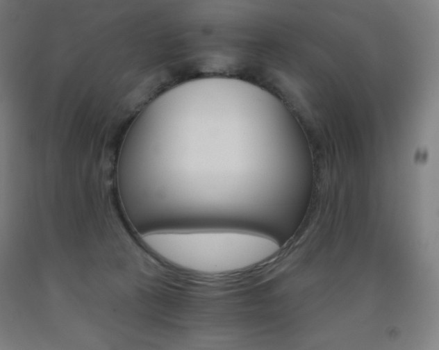 X0000093120273200709261021