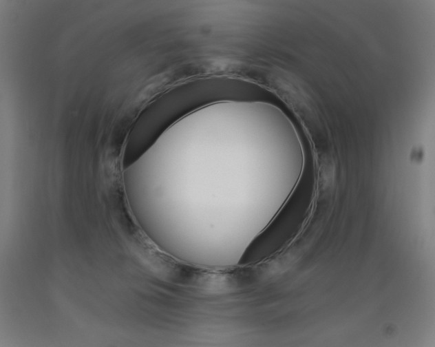 X0000093120276200709261021