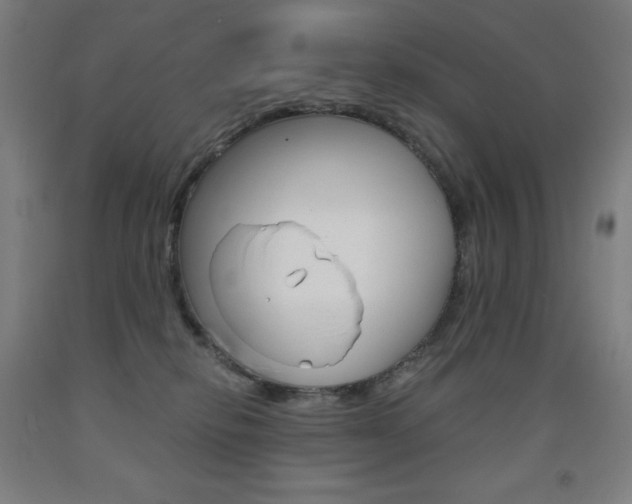 X0000093120278200709261021