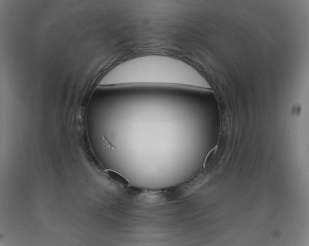 X0000093120280200709261021