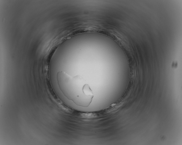 X0000093120281200709261021