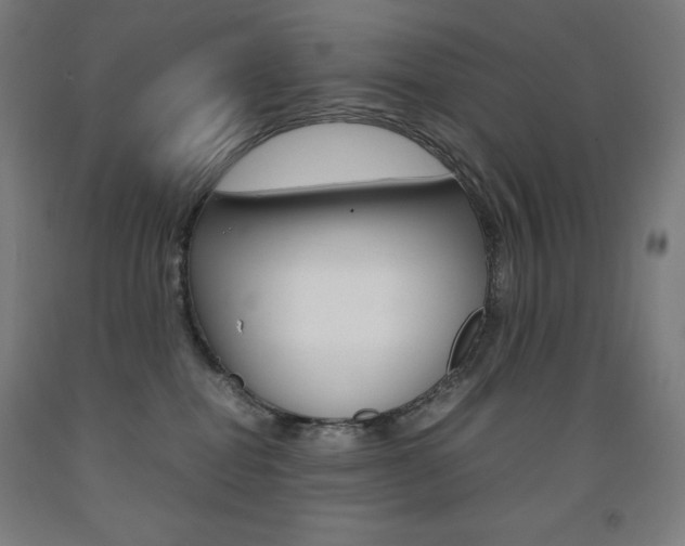 X0000093120282200709261021