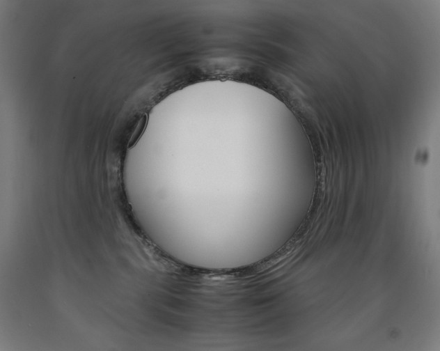 X0000093120283200709261021