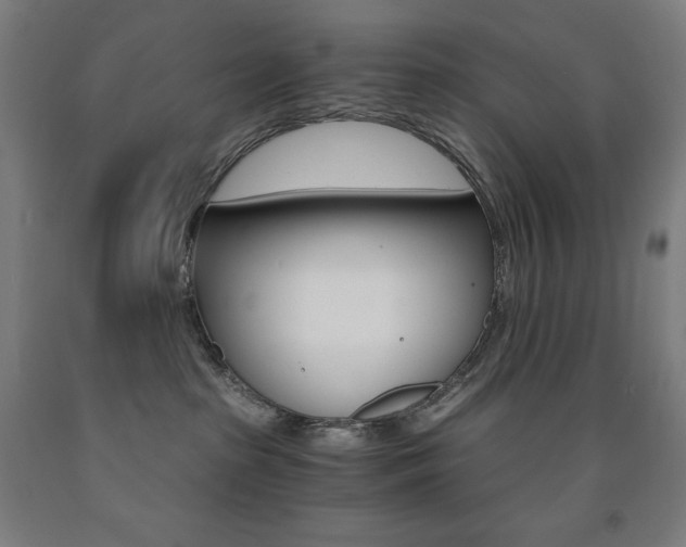 X0000093120285200709261021
