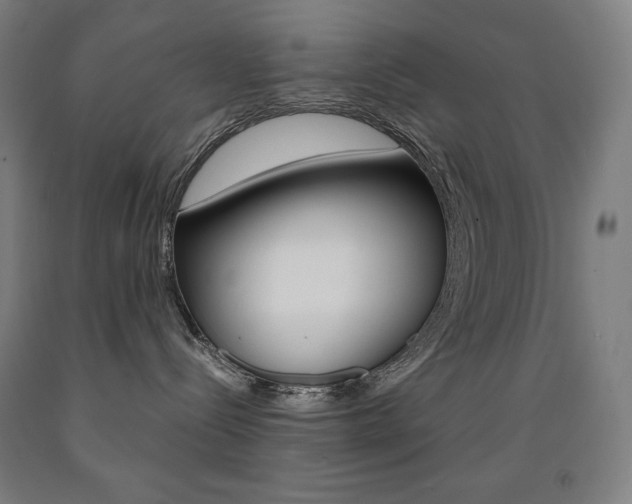 X0000093120288200709261021