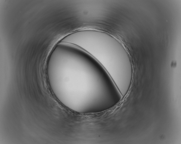 X0000093120289200709261020