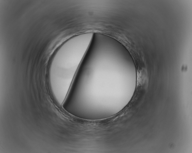 X0000093120291200709261020