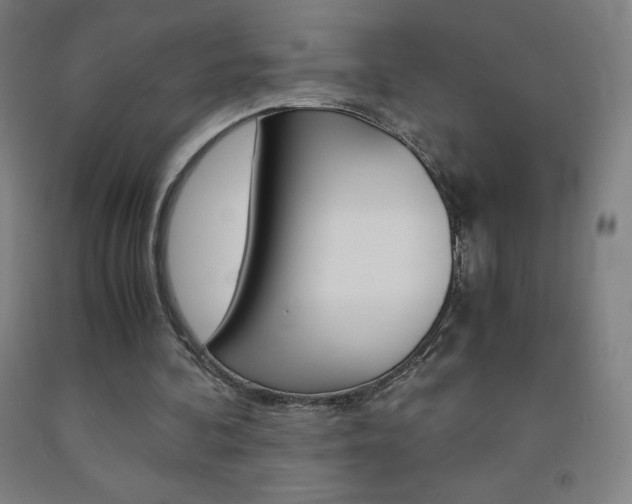 X0000093120292200709261020