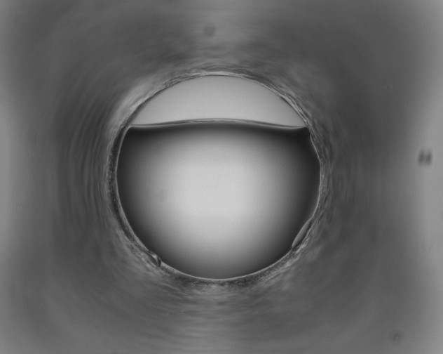 X0000093120293200709261020