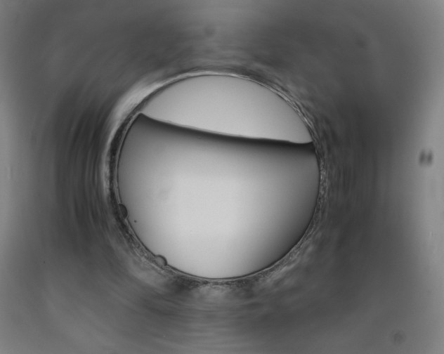 X0000093120294200709261020