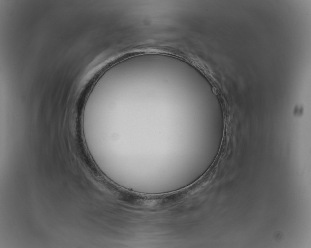 X0000093120295200709261020