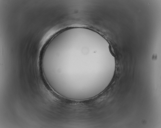 X0000093120296200709261020