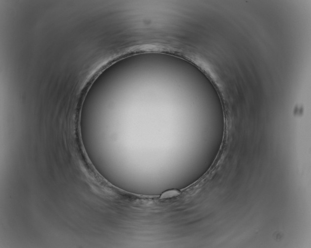 X0000093120297200709261020