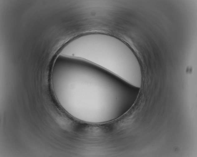 X0000093120299200709261020