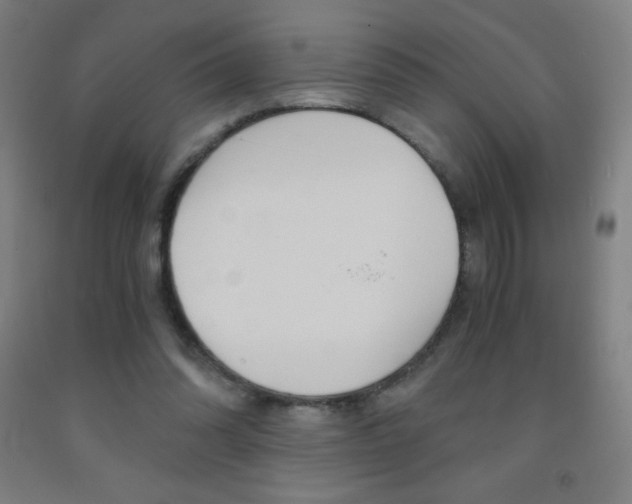 X0000093120302200709261020