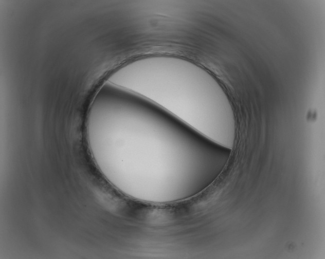 X0000093120303200709261020