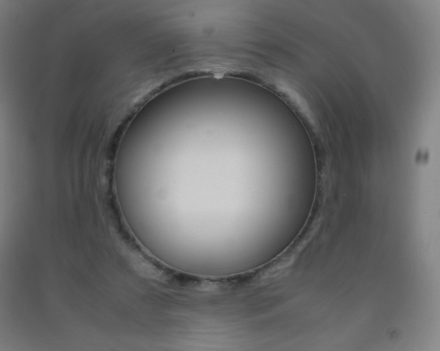 X0000093120305200709261020