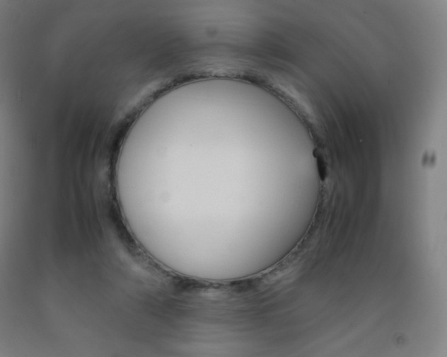 X0000093120306200709261020