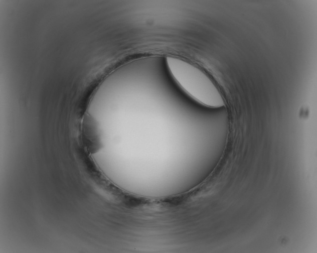 X0000093120307200709261020