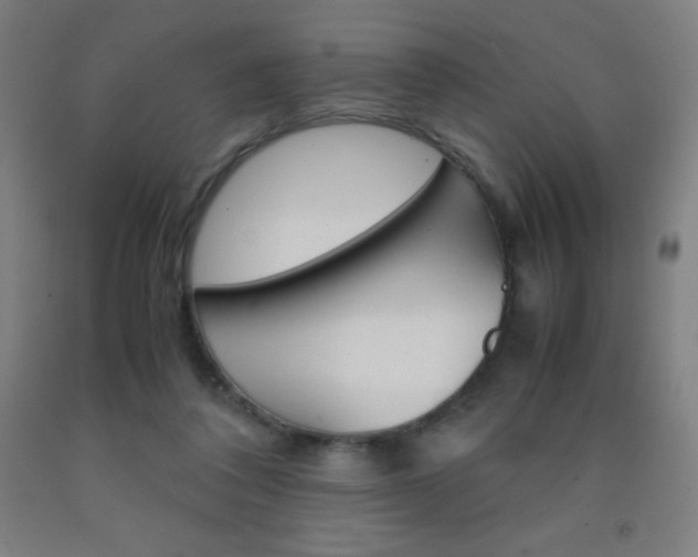 X0000093120308200709261020