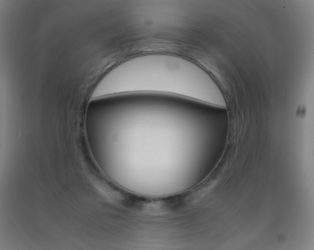 X0000093120309200709261020