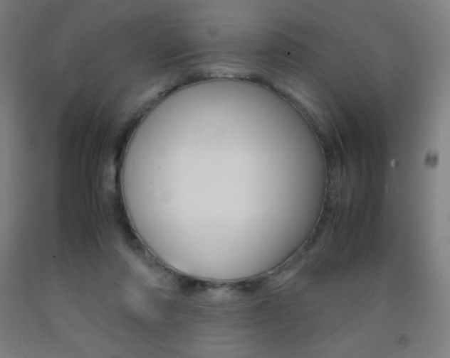 X0000093120310200709261020