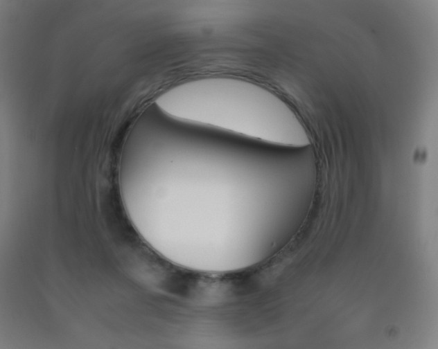 X0000093120311200709261020